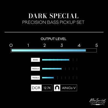 Montances Precision Bass Dark Special Pickups