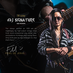 M-Tone Fidel De Jesus (FDJ) Signature HSS Pickups | High Output Alnico 2