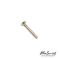 Strat Pickup Height Screws, Metric Size