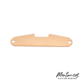 Baseplate for Single Coil Pickups