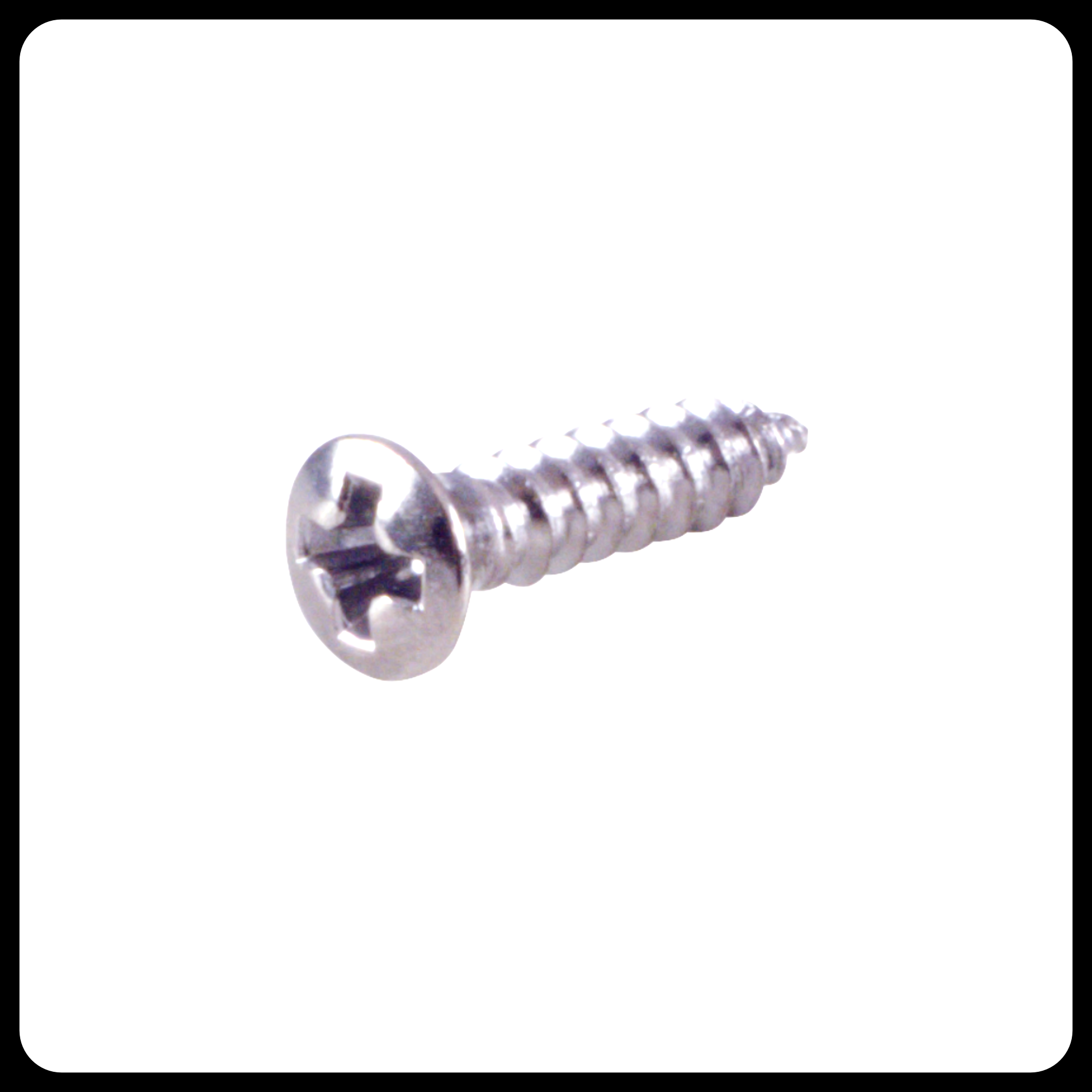 Screws for Pickguard and Control Plates, Phillips (20pcs)